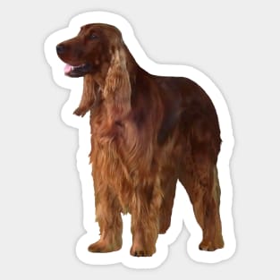 Irish Setter Sticker